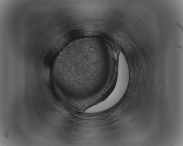 X0000091450219200709131721