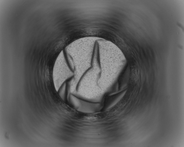 X0000091450220200709131721
