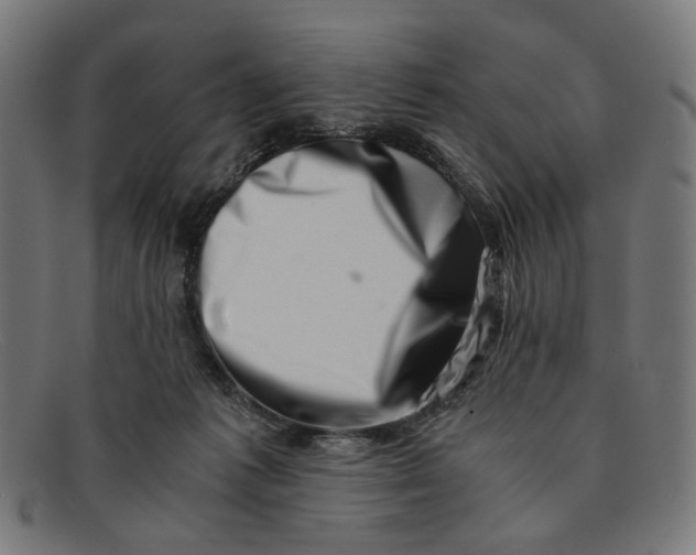 X0000091450221200709131721