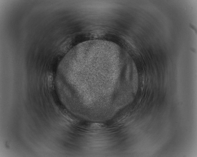 X0000091450222200709131721