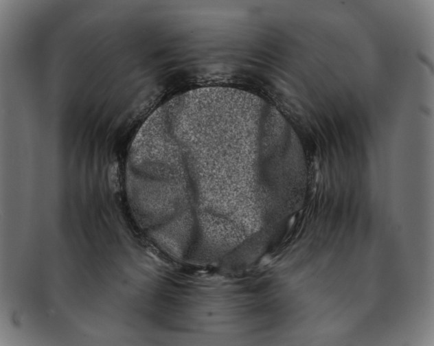 X0000091450224200709131721