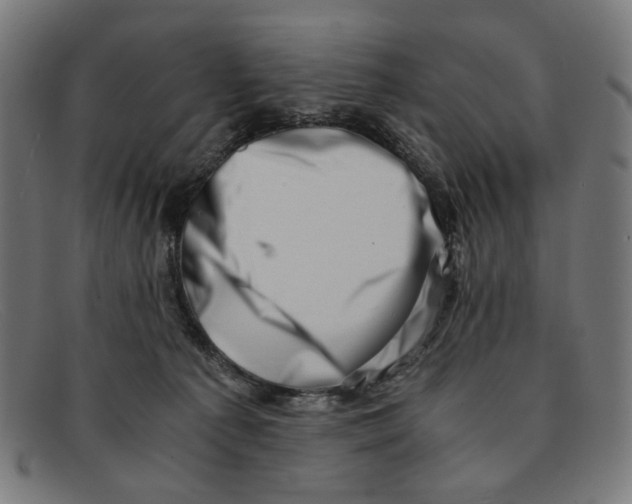 X0000091450225200709131721