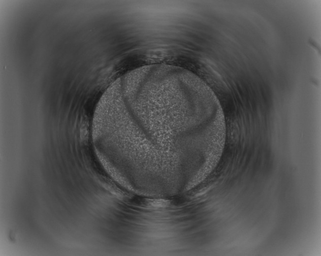 X0000091450226200709131721