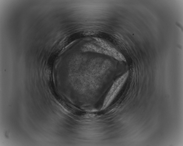 X0000091450227200709131721