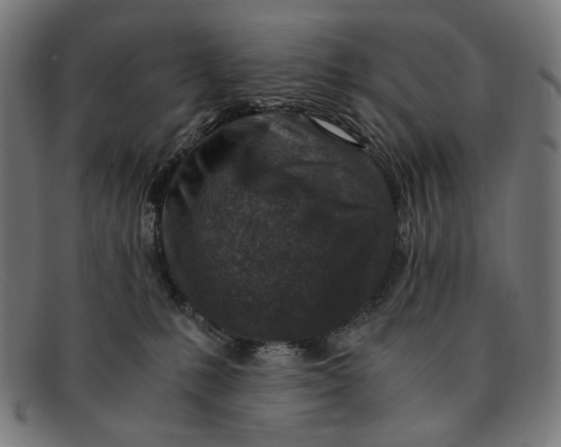 X0000091450231200709131721