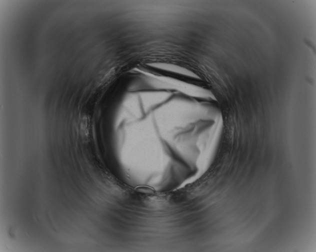 X0000091450232200709131721
