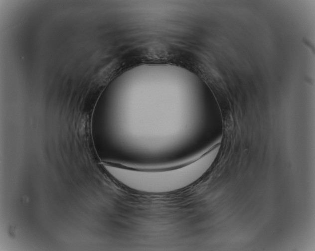 X0000091450233200709131721