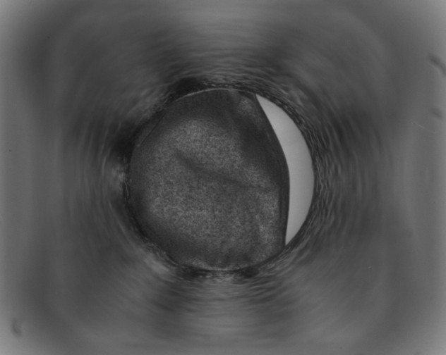 X0000091450235200709131721