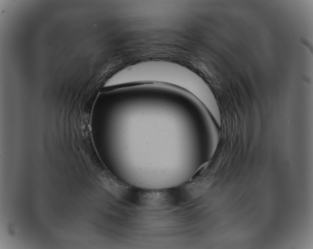 X0000091450237200709131721