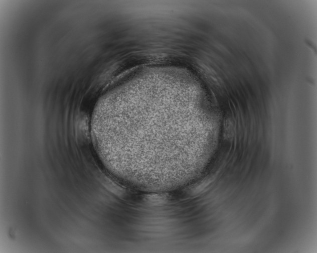 X0000091450238200709131721