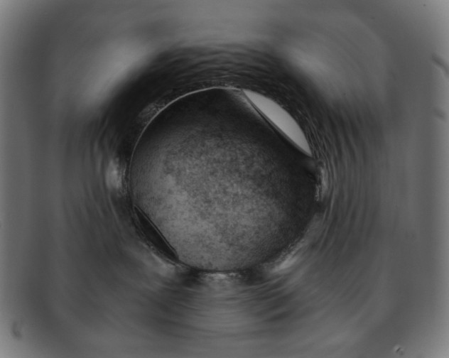 X0000091450239200709131721