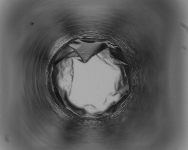 X0000091450242200709131720