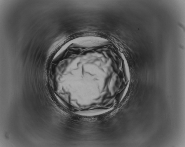 X0000091450245200709131720