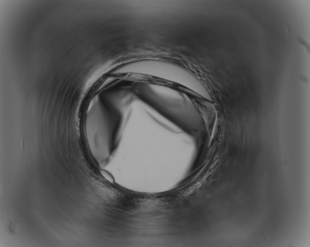 X0000091450246200709131720
