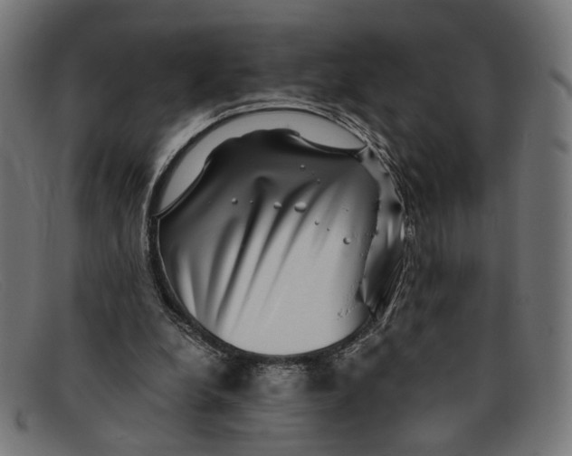 X0000091450248200709131720