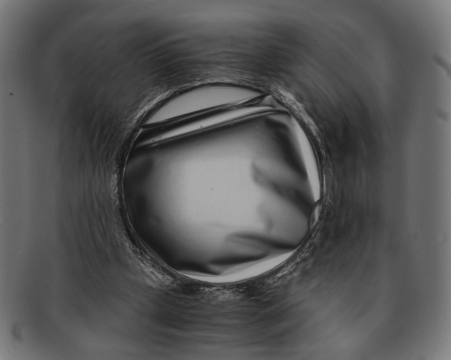 X0000091450249200709131720