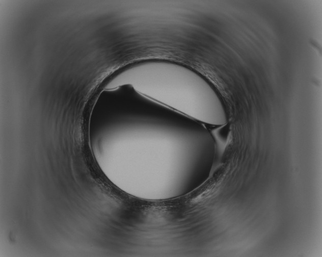 X0000091450252200709131720