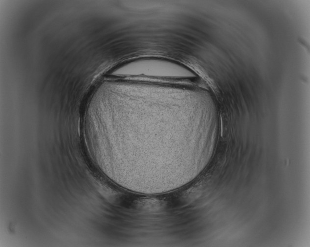 X0000091450253200709131720