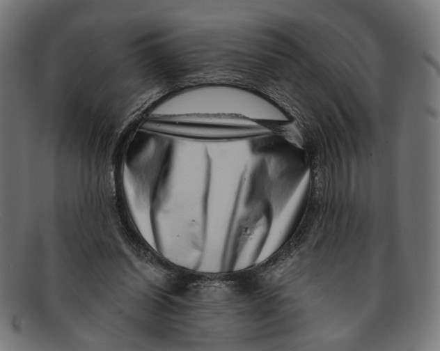 X0000091450254200709131720