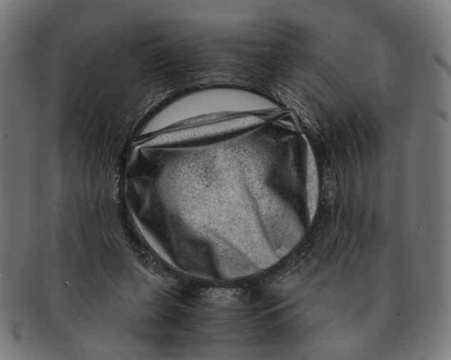 X0000091450255200709131720