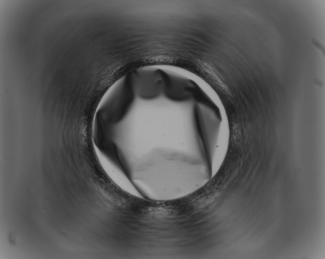 X0000091450259200709131720