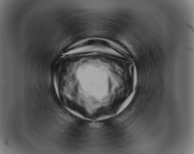 X0000091450261200709131720