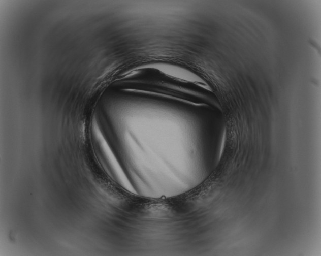 X0000091450262200709131720