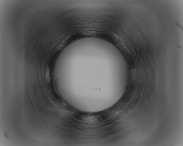 X0000091450267200709131720