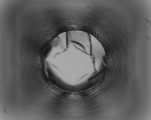 X0000091450270200709131721