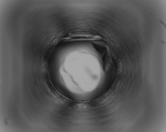 X0000091450272200709131721
