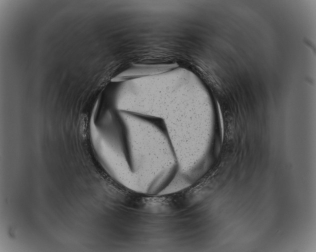 X0000091450273200709131721
