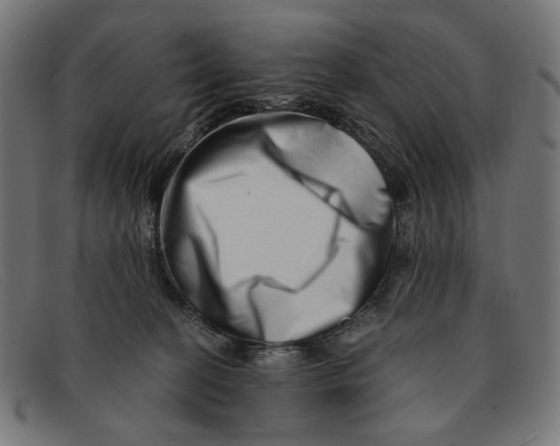 X0000091450274200709131721