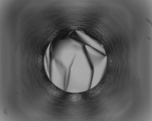 X0000091450275200709131721