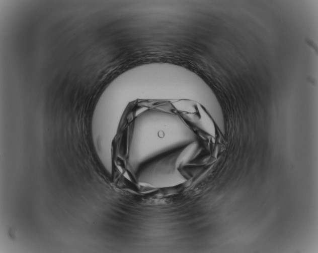 X0000091450276200709131721