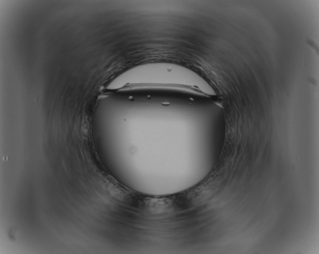 X0000091450277200709131721
