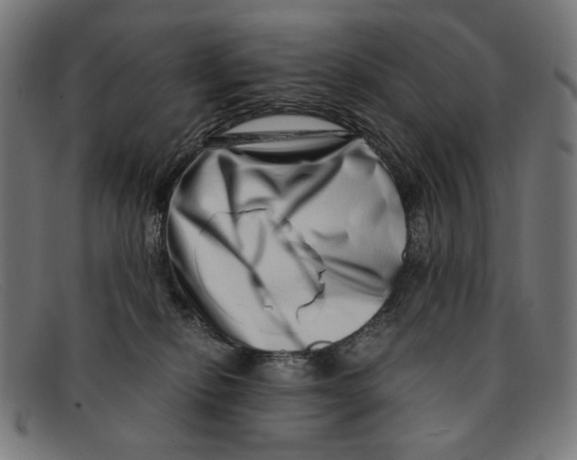 X0000091450278200709131721