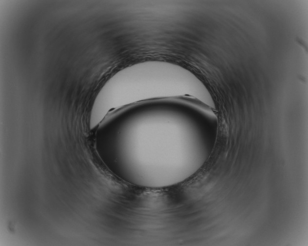 X0000091450280200709131721