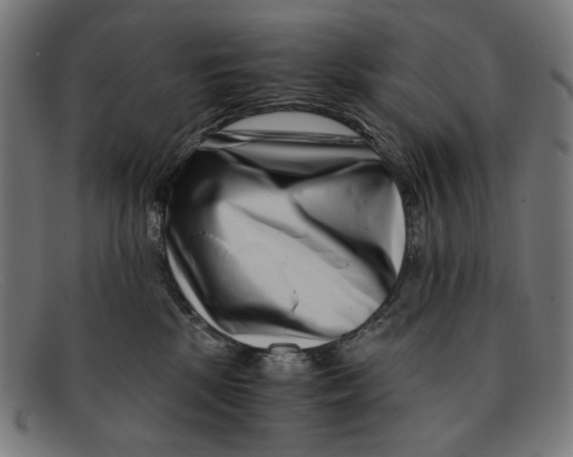 X0000091450281200709131721