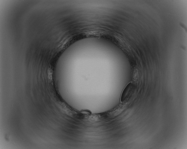 X0000091450282200709131721