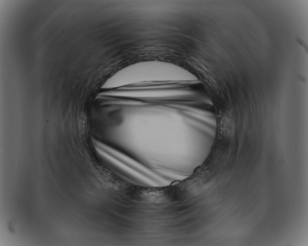 X0000091450283200709131721