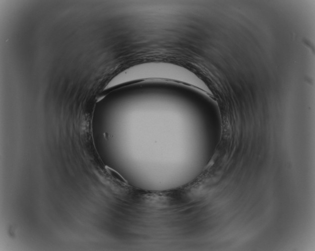 X0000091450284200709131721