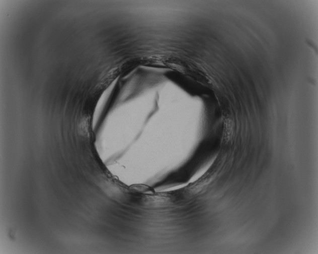 X0000091450286200709131721