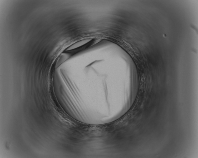 X0000091450290200709131720