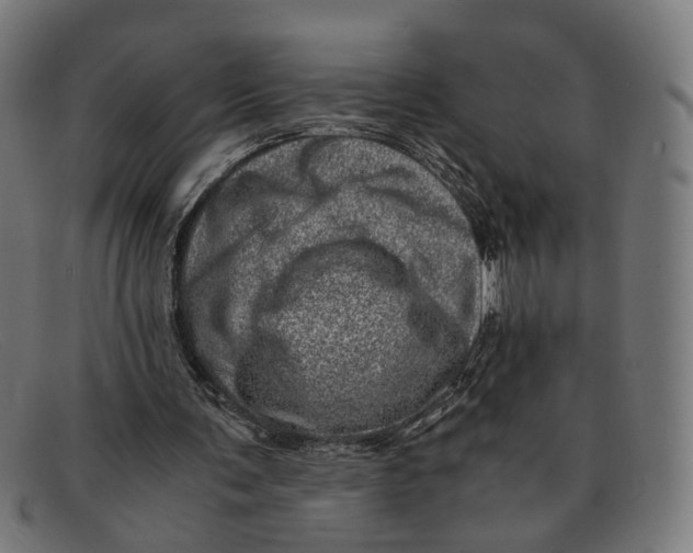 X0000091450291200709131720