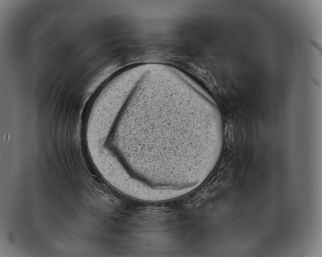 X0000091450292200709131720