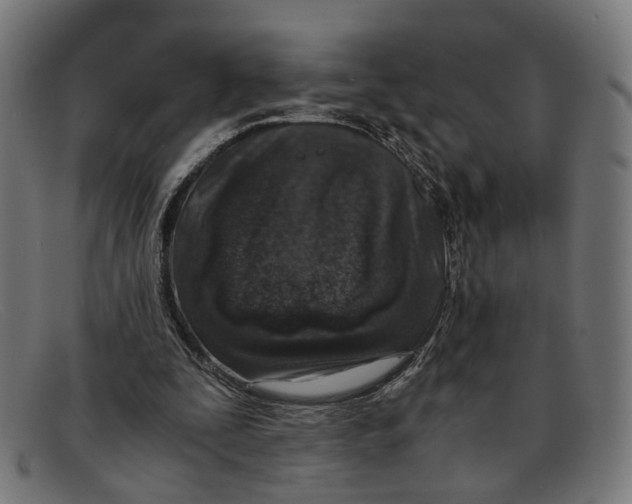 X0000091450295200709131720