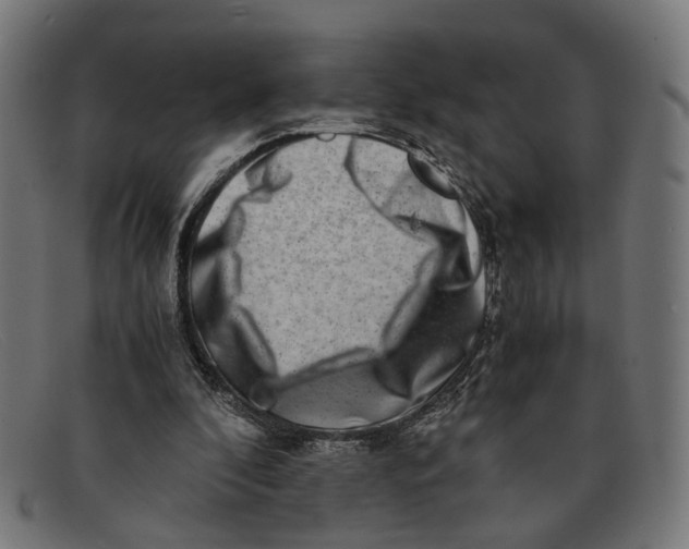 X0000091450296200709131720