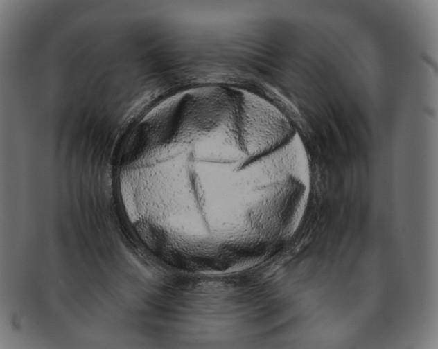 X0000091450298200709131720