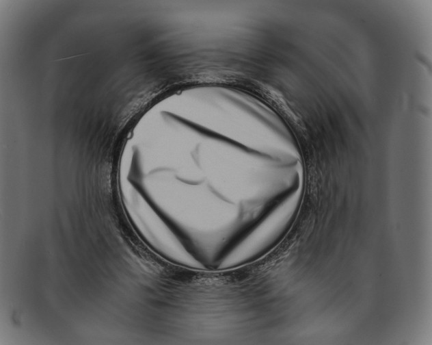 X0000091450299200709131720