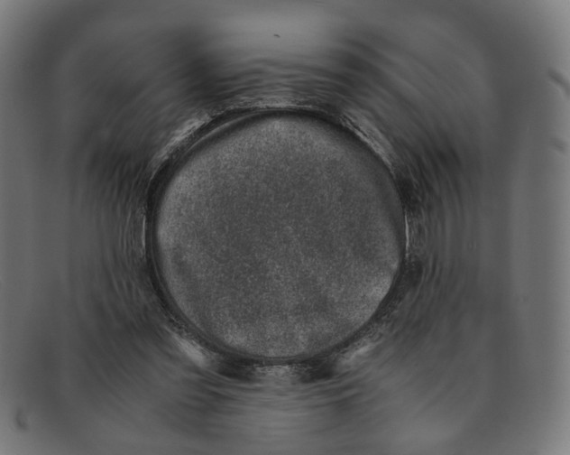 X0000091450301200709131720